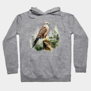 Kestrel Hoodie